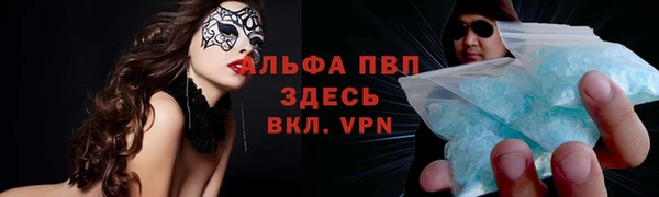 spice Пестово
