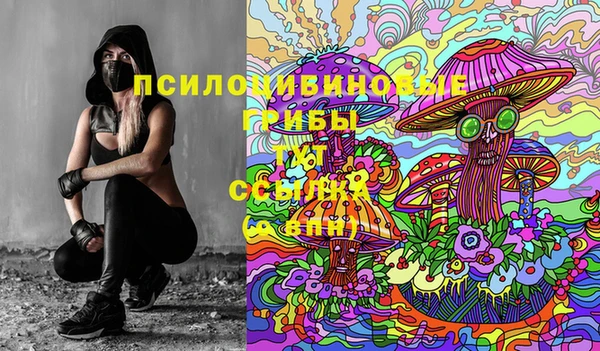 экстази Пересвет