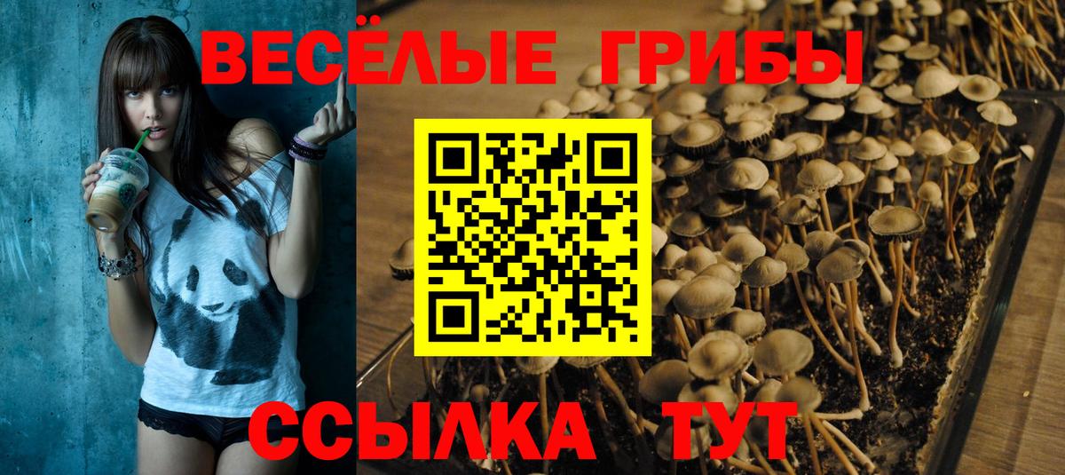 Богородицк  Псилоцибиновые грибы Magic Shrooms  Вход с VPN  Псилоцибиновые грибы мицелий 