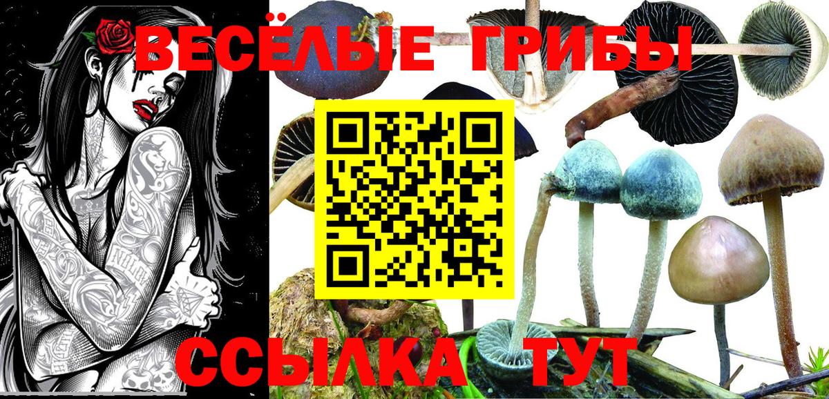 Галлюциногенные грибы прущие грибы  Псилоцибиновые грибы прущие грибы  Богородицк 
