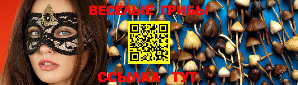 Псилоцибиновые грибы прущие грибы Богородицк