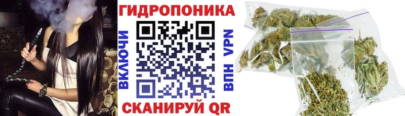 Каннабис White Widow Богородицк